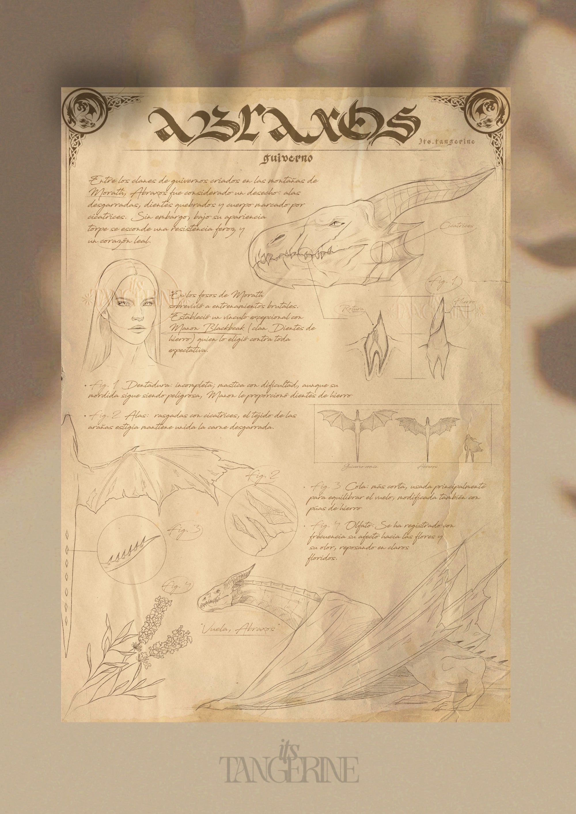 Abraxos - Throne of Glass Bestiary