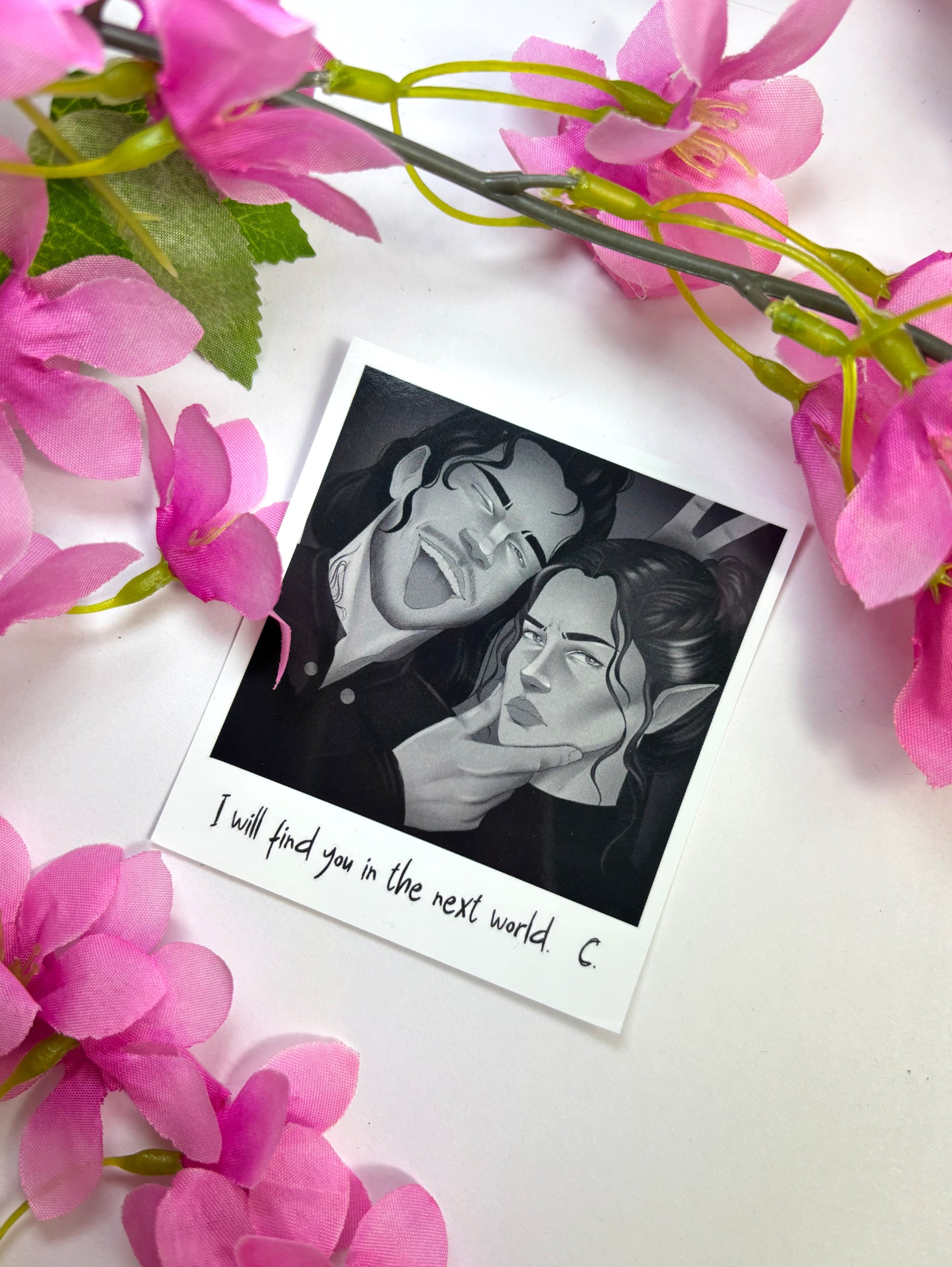 Polaroid - Cassian and Nesta (A Court of Thorns and Roses)