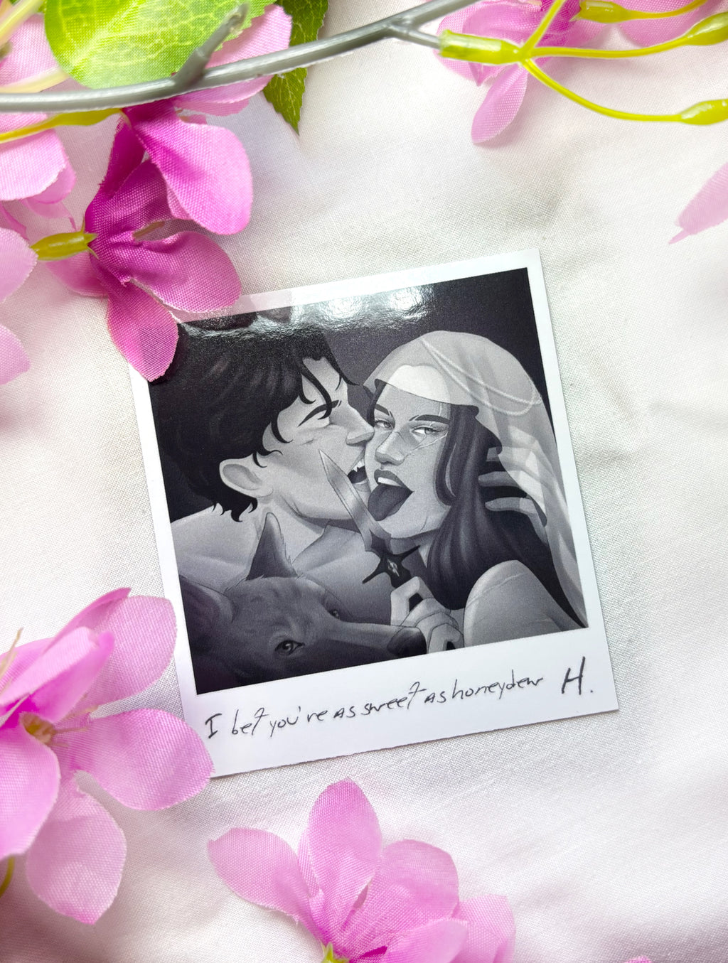 Polaroid - Poppy y Hawke (De sangre y cenizas)